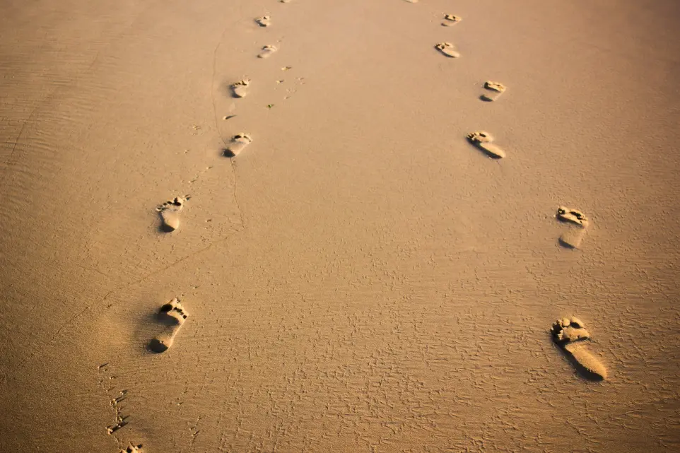 foot prints on brown sand
